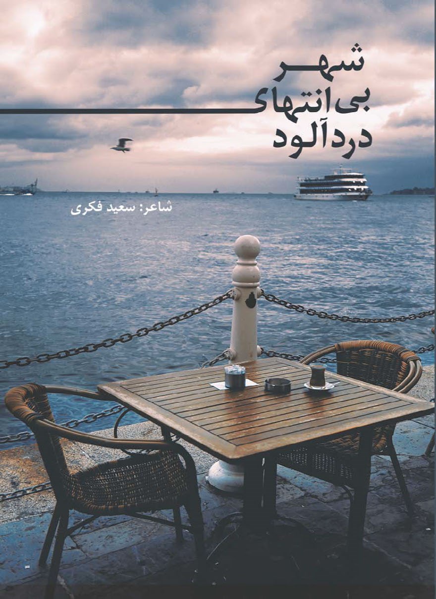 تصویر جلد کتاب شهر بی انتهای دردآلود