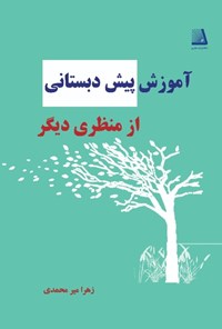 تصویر جلد کتاب آموزش پیش دبستانی از منظری دیگر