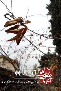 تصویر جلد کتاب ماهنامه دستخط - آبان ۹۹