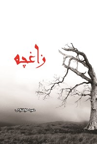 کتاب زاغچه اثر حمید موسوی