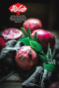 تصویر جلد کتاب فرهنگ شریف ـ شماره ۴۲ و ۴۳ ـ آذر ۹۹