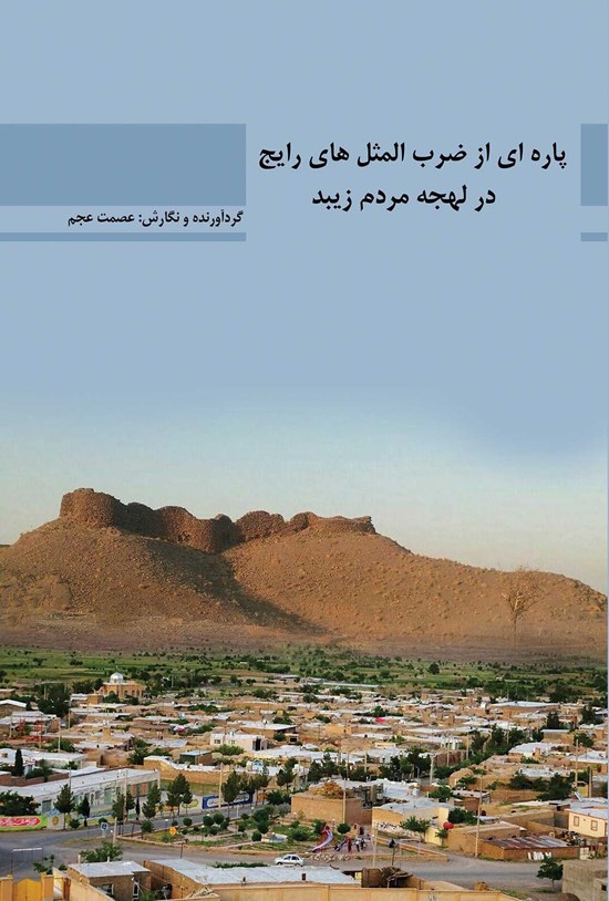 تصویر جلد کتاب پاره ای از ضرب المثل های رایج در لهجه مردم زیبد