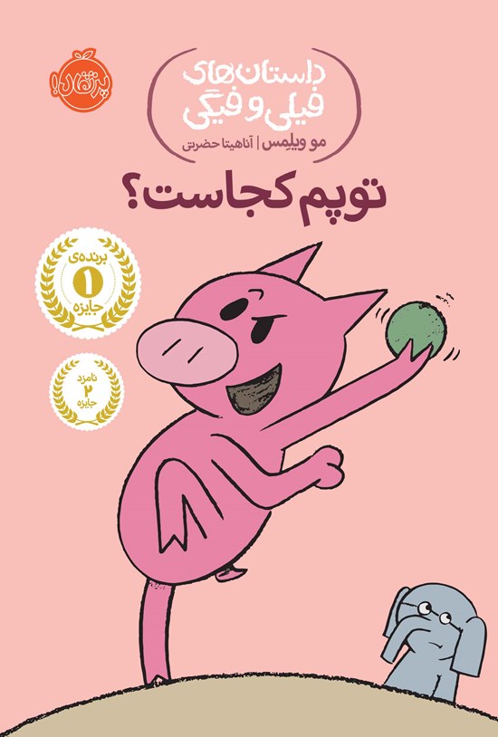 تصویر جلد کتاب توپم کجاست؟