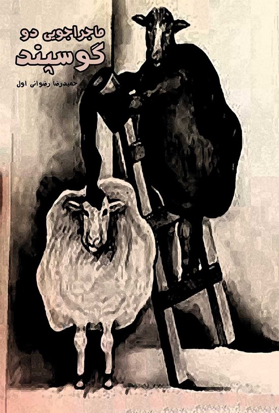 تصویر جلد کتاب ماجراجویی دو گوسپند