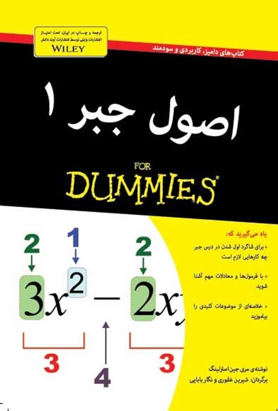 تصویر جلد کتاب اصول جبر ۱ دامیز