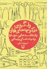 تصویر جلد کتاب ولگردی در کوچههای زبان: یادداشتهایی درباره پدیدههای زبانی