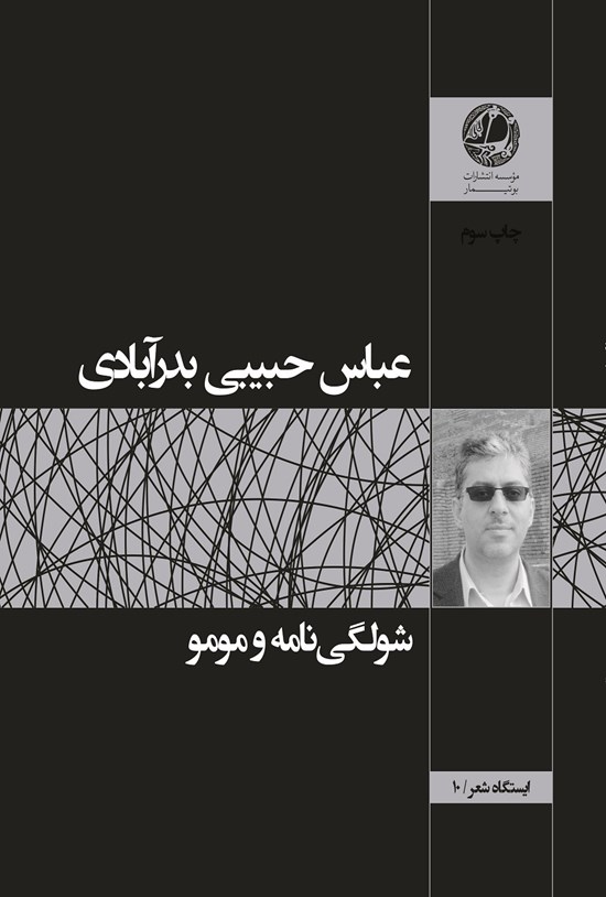 تصویر جلد کتاب شولگینامه و مومو