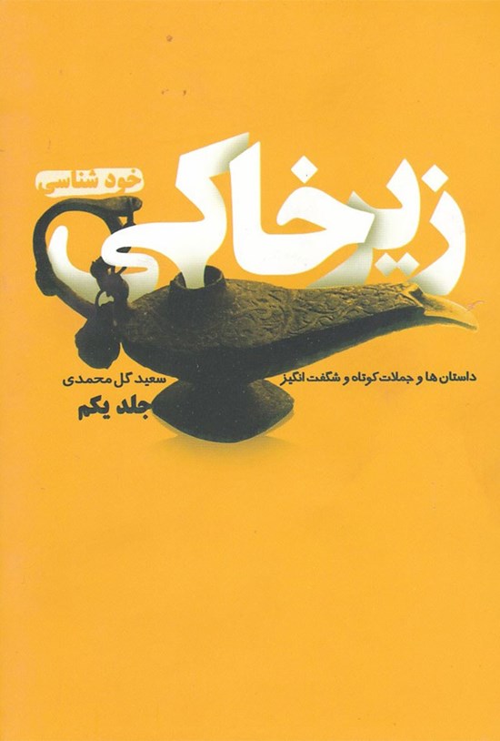 تصویر جلد کتاب زیر خاکی؛ جلد یکم
