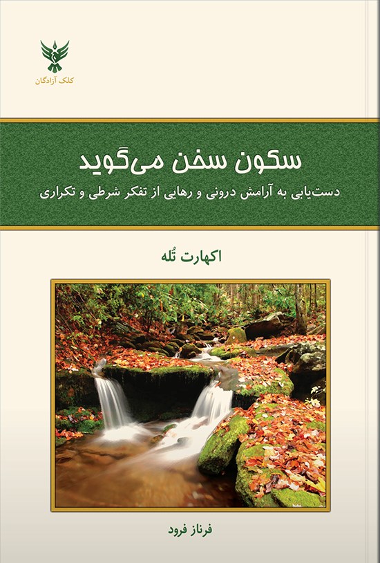تصویر جلد کتاب سکون سخن می گوید