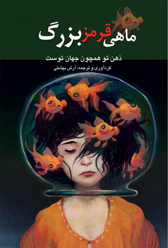 تصویر جلد کتاب ماهی قرمز بزرگ