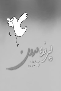 تصویر جلد کتاب پرنده درون