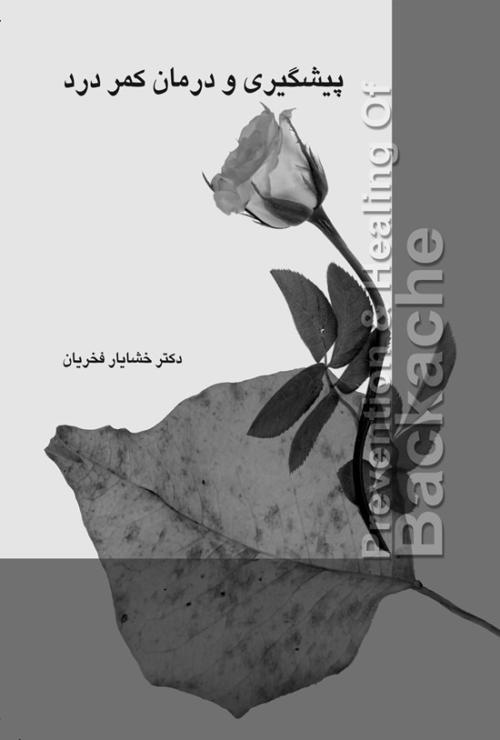 تصویر جلد کتاب پیشگری و درمان کمردرد