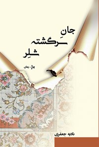 تصویر جلد کتاب جان سرگشته شلر