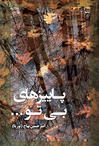 تصویر جلد کتاب پاییزهای بی تو...