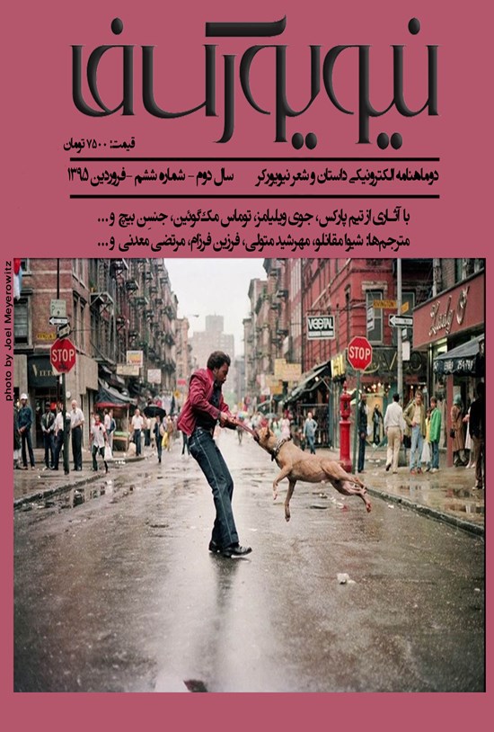 تصویر جلد کتاب دوماهنامه نیویورکفا ـ شماره ۶ ـ فروردین ۱۳۹۵