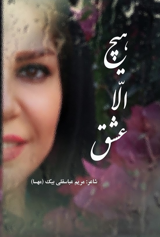 تصویر جلد کتاب هیچ الا عشق