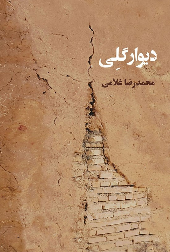 تصویر جلد کتاب دیوار گلی
