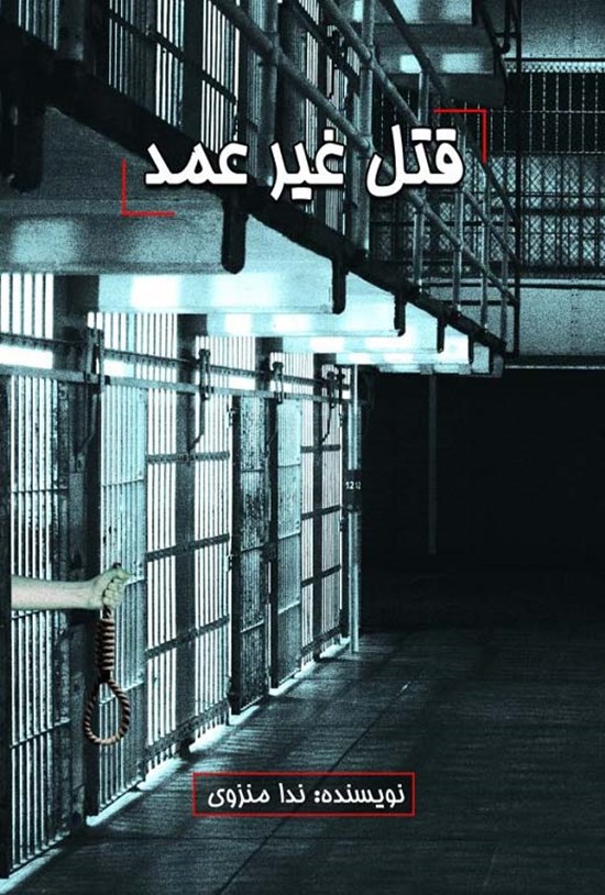 تصویر جلد کتاب قتل غیرعمد