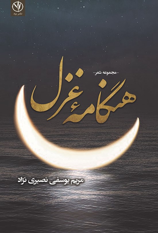 تصویر جلد کتاب هنگامه غزل