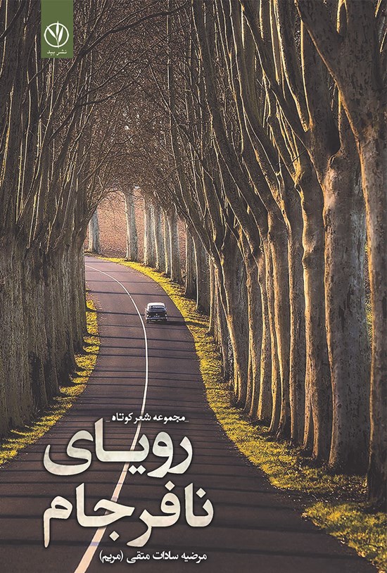 تصویر جلد کتاب رویای نافرجام