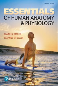 تصویر جلد کتاب Essentials of Huan Anatomy & Physiology