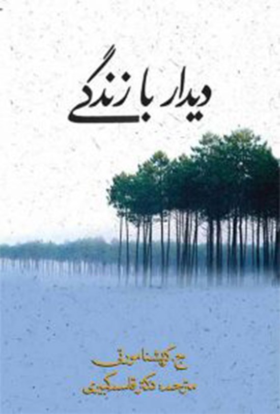 تصویر جلد کتاب دیدار با زندگی
