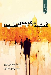 تصویر جلد کتاب گمشده در کوچه قصه ها