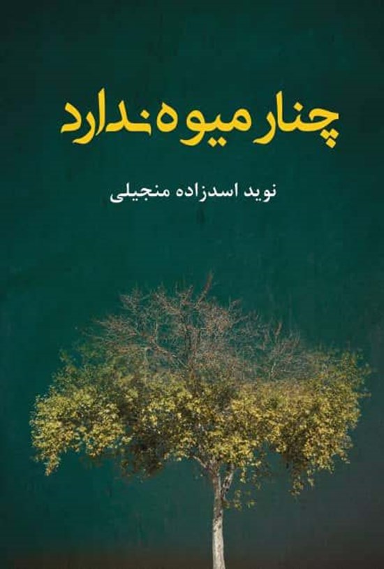 تصویر جلد کتاب چنار میوه ندارد