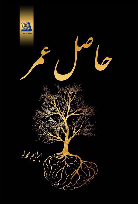 تصویر جلد کتاب حاصل عمر