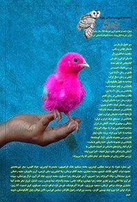 تصویر جلد کتاب ماهنامه چوک ـ شماره۶۸ ـ فروردین ۹۵